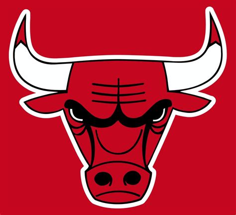 bulls logo drawing